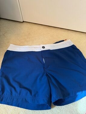 Chubbies Navy Swim Trunks